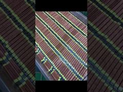 Lámpara de curado UV de alta intensidad OEM, 20000 horas de vida útil para impresora de inyección de tinta​