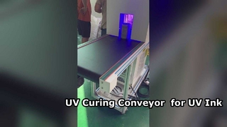 Secador transportador de curado UV para curar tintas UV